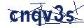 img-Captcha