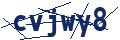 img-Captcha