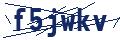 img-Captcha